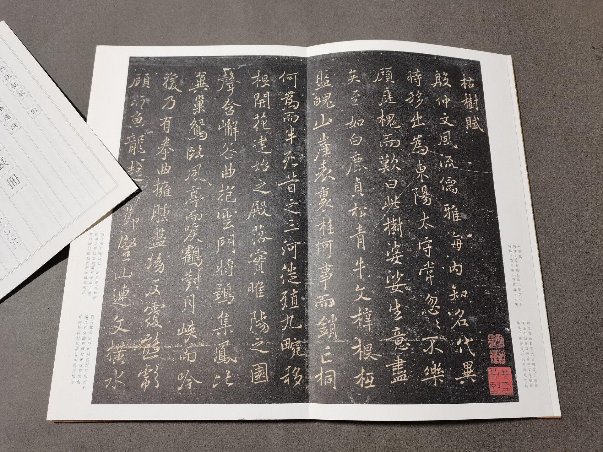嚴選21版褚遂良枯樹賦，二玄社典藏品相佳枯樹賦褚遂良字帖書法| Yahoo拍賣