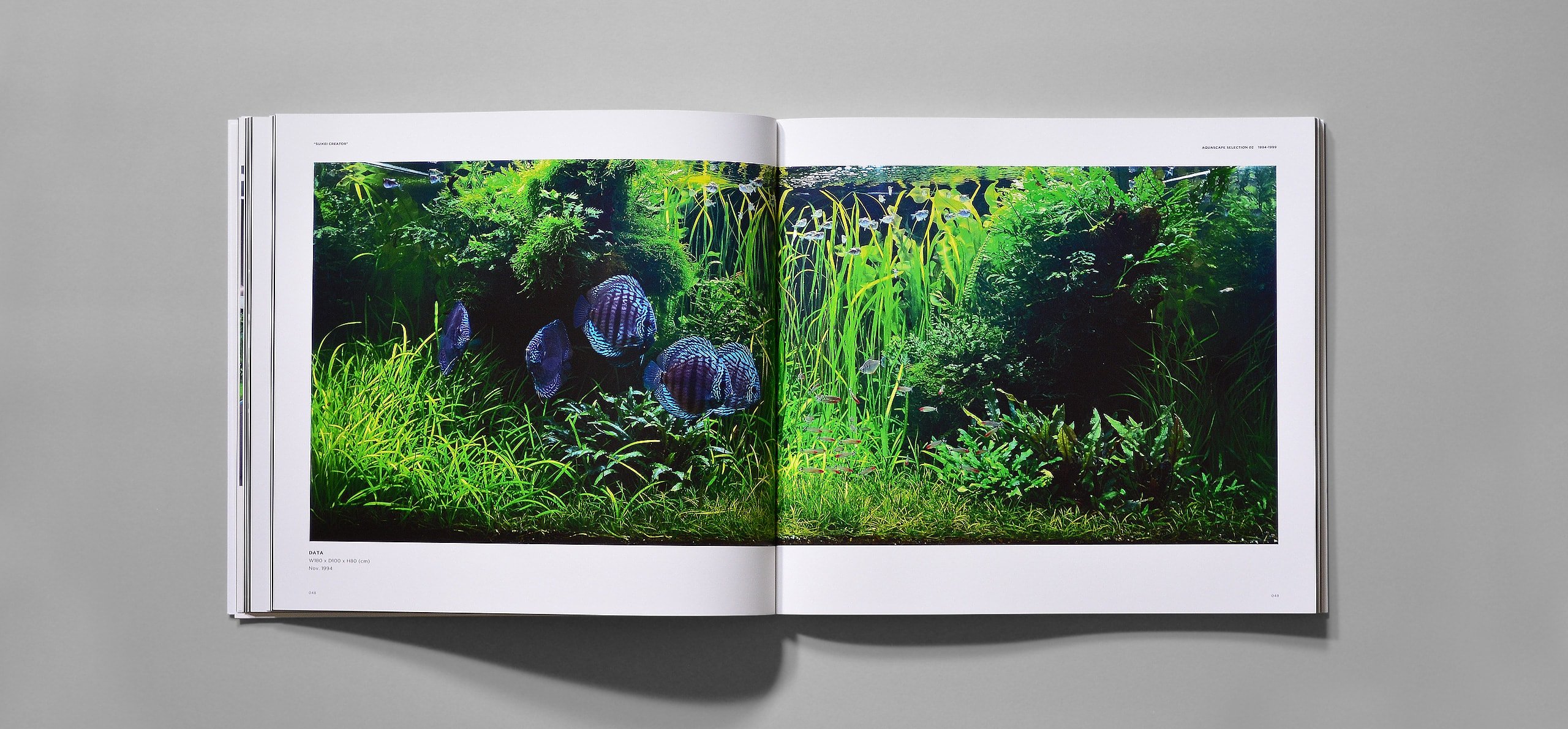 ◎ 水族之森◎ “天野尚作品集” THE ART OF NATURE AQUARIUM | Yahoo拍賣