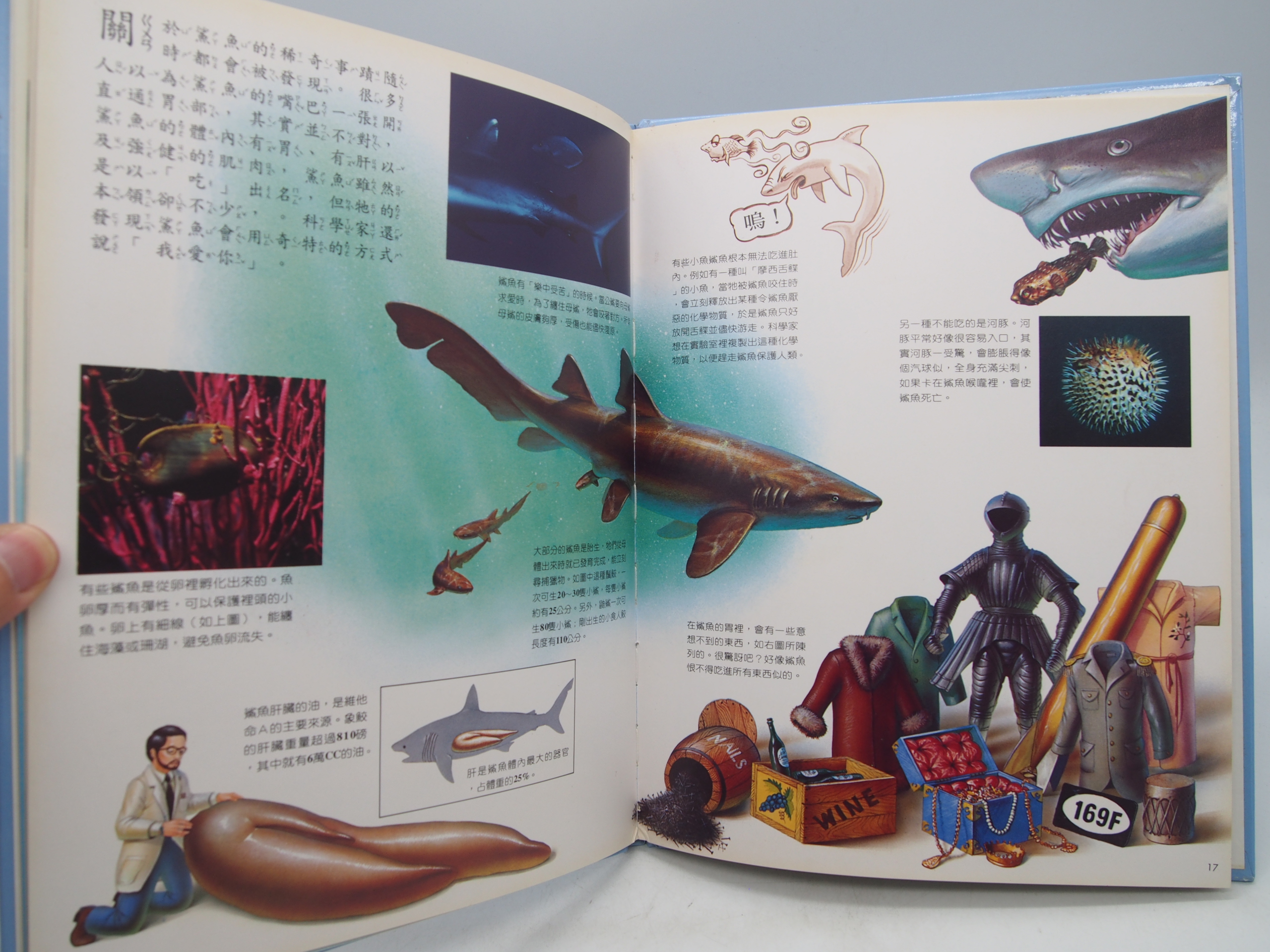 月界二手書店2】鯊魚－地球你我牠．動物生態大百科（絕版）_萬榮出版_Zoobooks 〖少年童書〗DAK | Yahoo拍賣