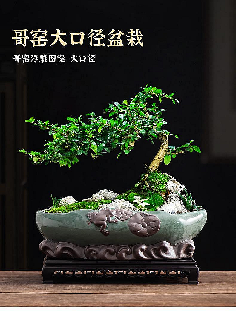 紫砂鉢 陶磁盆 景盆 長方形奎面馬槽盆大盆栽 小盆栽 工芸品 置物 紫砂鉢 陶磁盆 景盆 長方形奎面馬槽盆大盆栽 小盆栽 工芸品 置物 盆栽