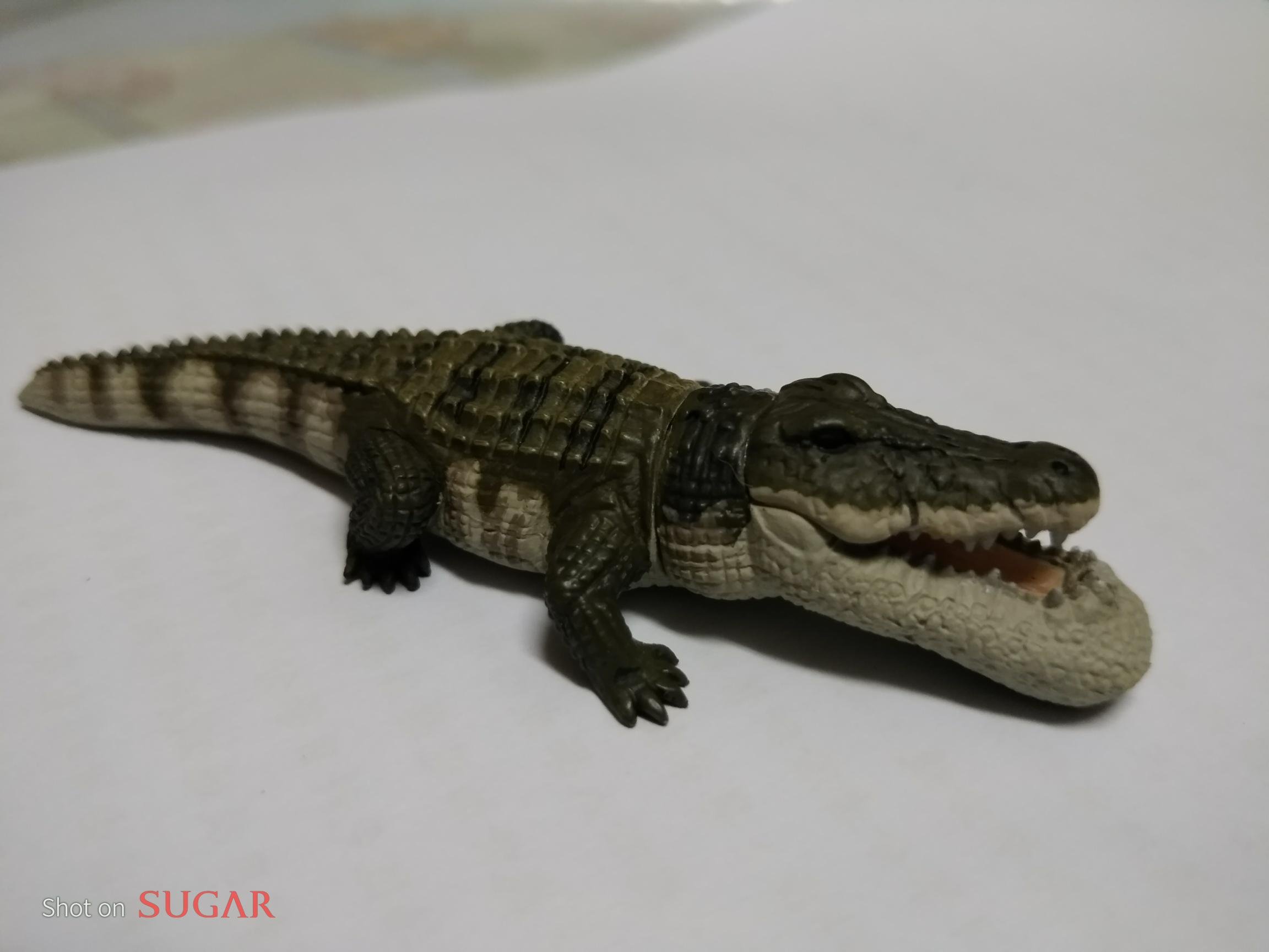 搞不懂狀況隨便賣絕版限量扭蛋星球全家厚道戽斗磁鐵公仔牛鱷魚獅子河馬雪狼無尾熊鯨魚另售Ps4悠遊卡7-11好想兔