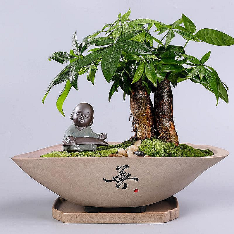 創意文竹盆栽大號辦公室發財樹綠植花卉盆景盆帶托盤粗陶仿石擺件