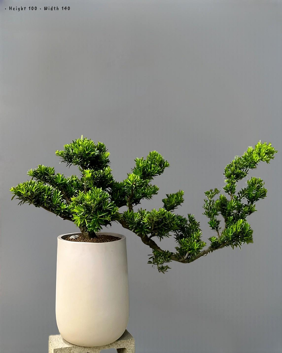 ada4006e-e8b6-4f09-8d8b-