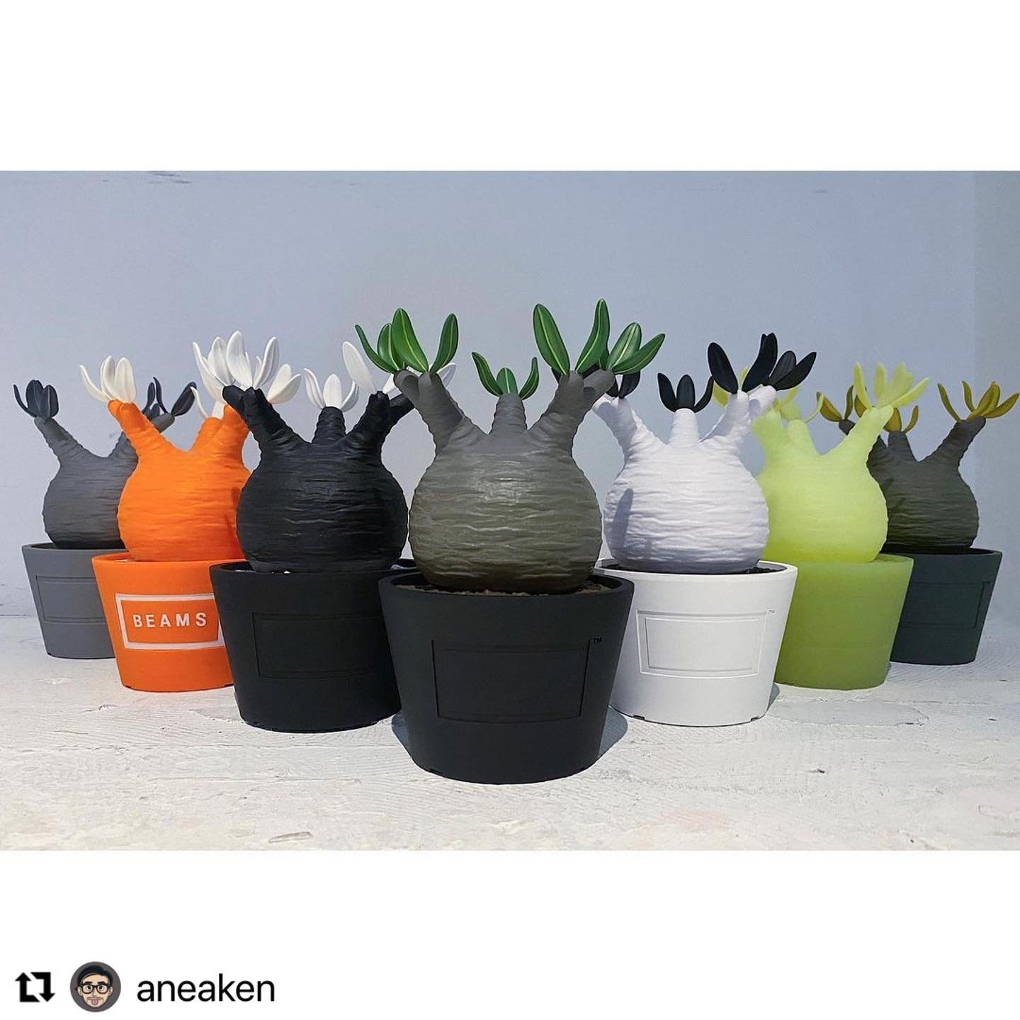 MEDICOM TOY - 【新品未開封】VCD AUTUMN LEAVES BOTANIZE Pre-order) MEDICOM TOY x BOTANIZE VCD PLANTS – ToyScannerhk