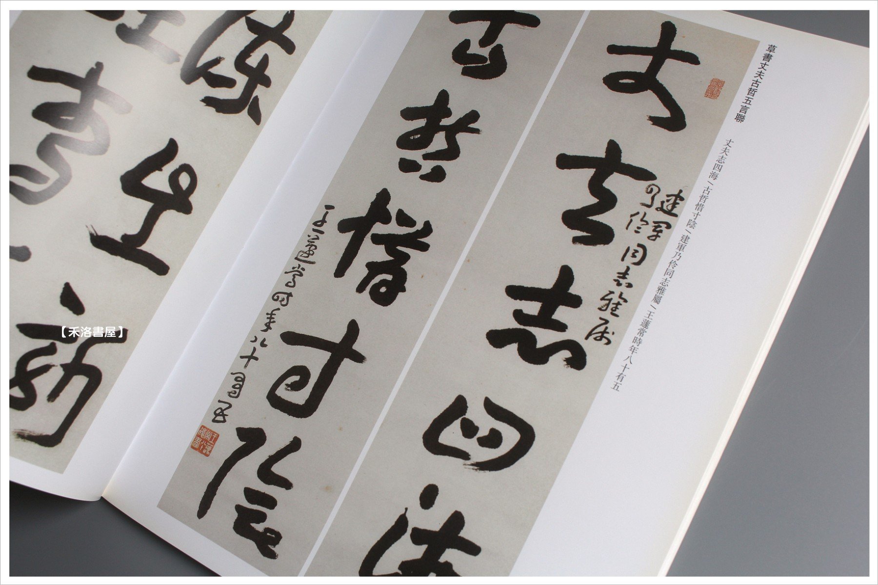禾洛書屋】歷代名家書法精典-王遽常(北京燕山出版)章草/書法字帖/作品