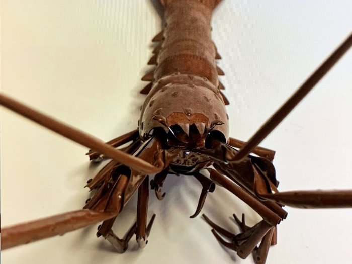 五十一代　明珍宗之作　銅海老　自在置物　共箱付　床置飾物 五十一代 明珍宗之作 銅海老 自在置物 共箱付 床置飾物 - メルカリ