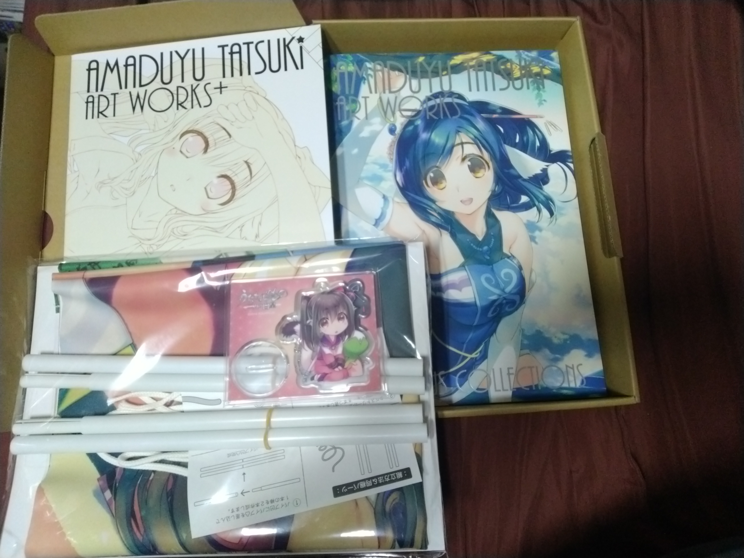 限定版] 甘露樹畫集第2彈AMADUYU TATSUKI ART WORKS AQUAPLUS 受讚頌者