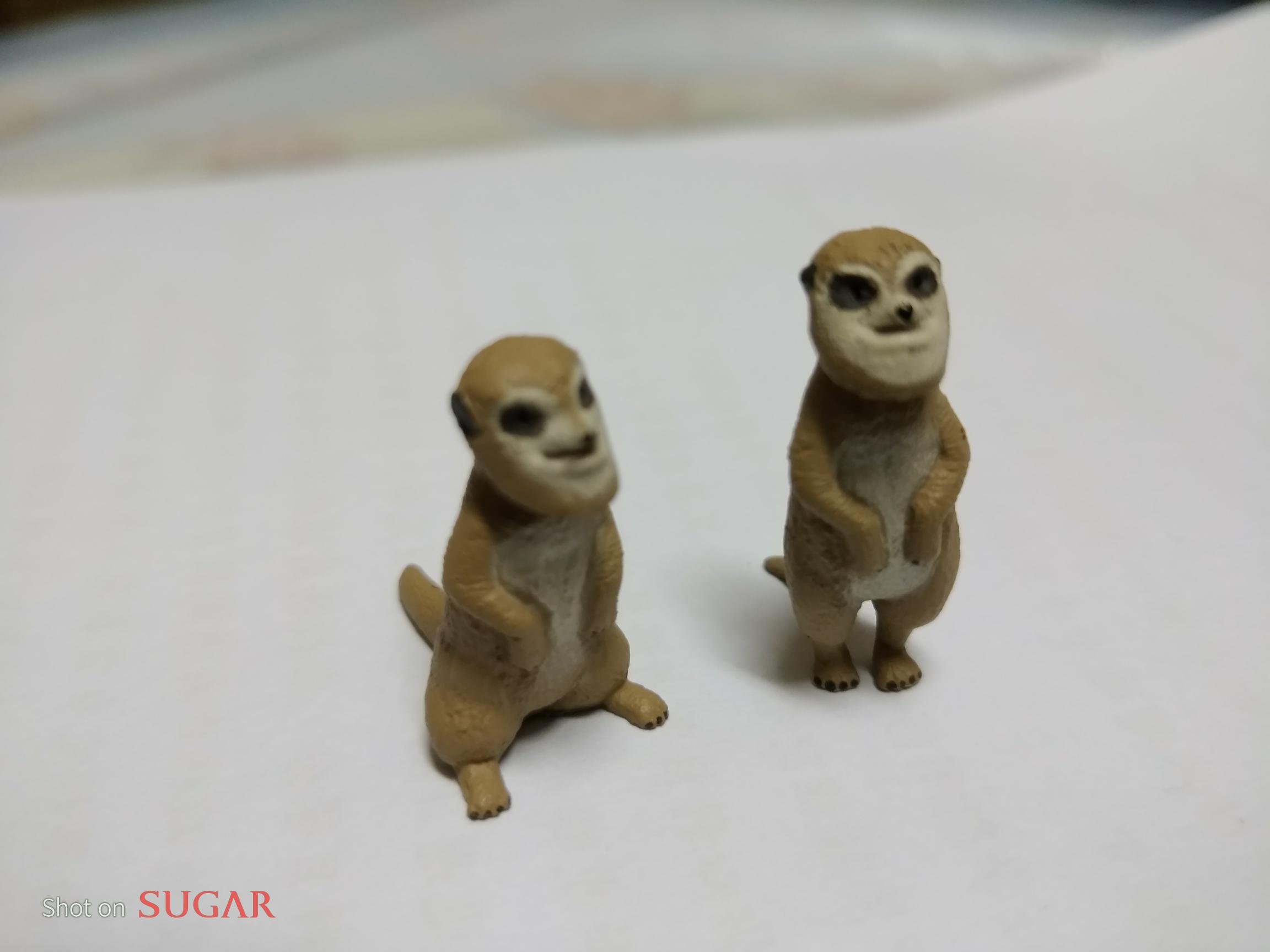 隨便賣絕版限量扭蛋星球全家厚道戽斗磁鐵鹿牛鱷魚獅子河馬猴子雪狼無尾熊鯨魚另售Ps4悠遊卡7-11好想兔利曼背包卡娜赫拉大叔| Yahoo拍賣