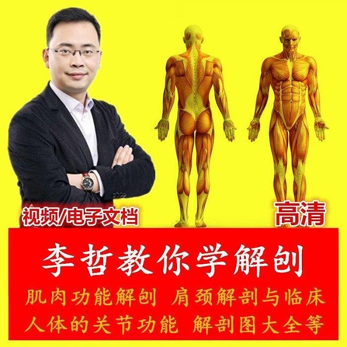 李哲解剖教学资料原始资料图片第1