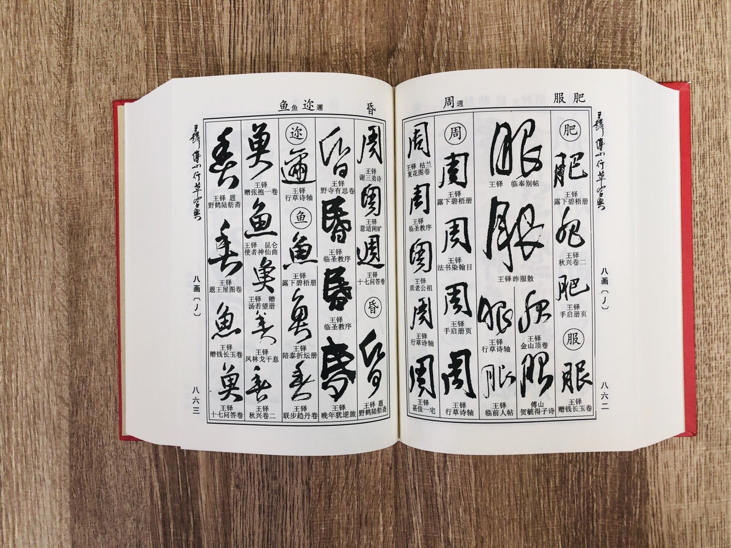 王鐸・傳山 行草書字典 王鐸傅山行草書字典 中国行草書鑑定字典 中国語書道字典/王铎傅