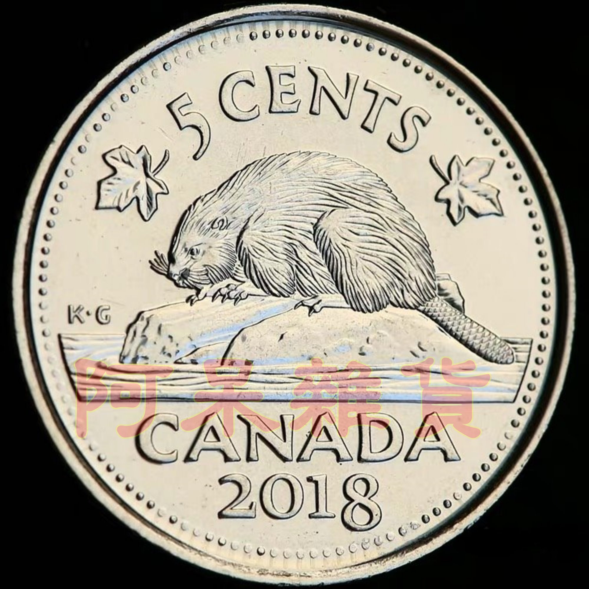 現貨全新加拿大5分海狸硬幣Roots 楓葉品牌衣服動物非現行流通貨幣幣銅板英國女王| Yahoo拍賣