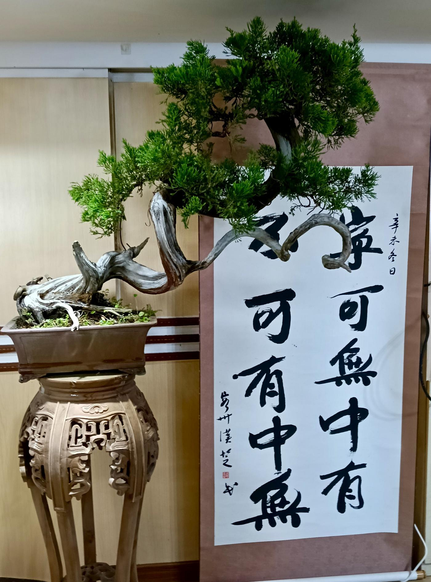 大品真柏的價格推薦- 2026年6月| 比價比個夠BigGo