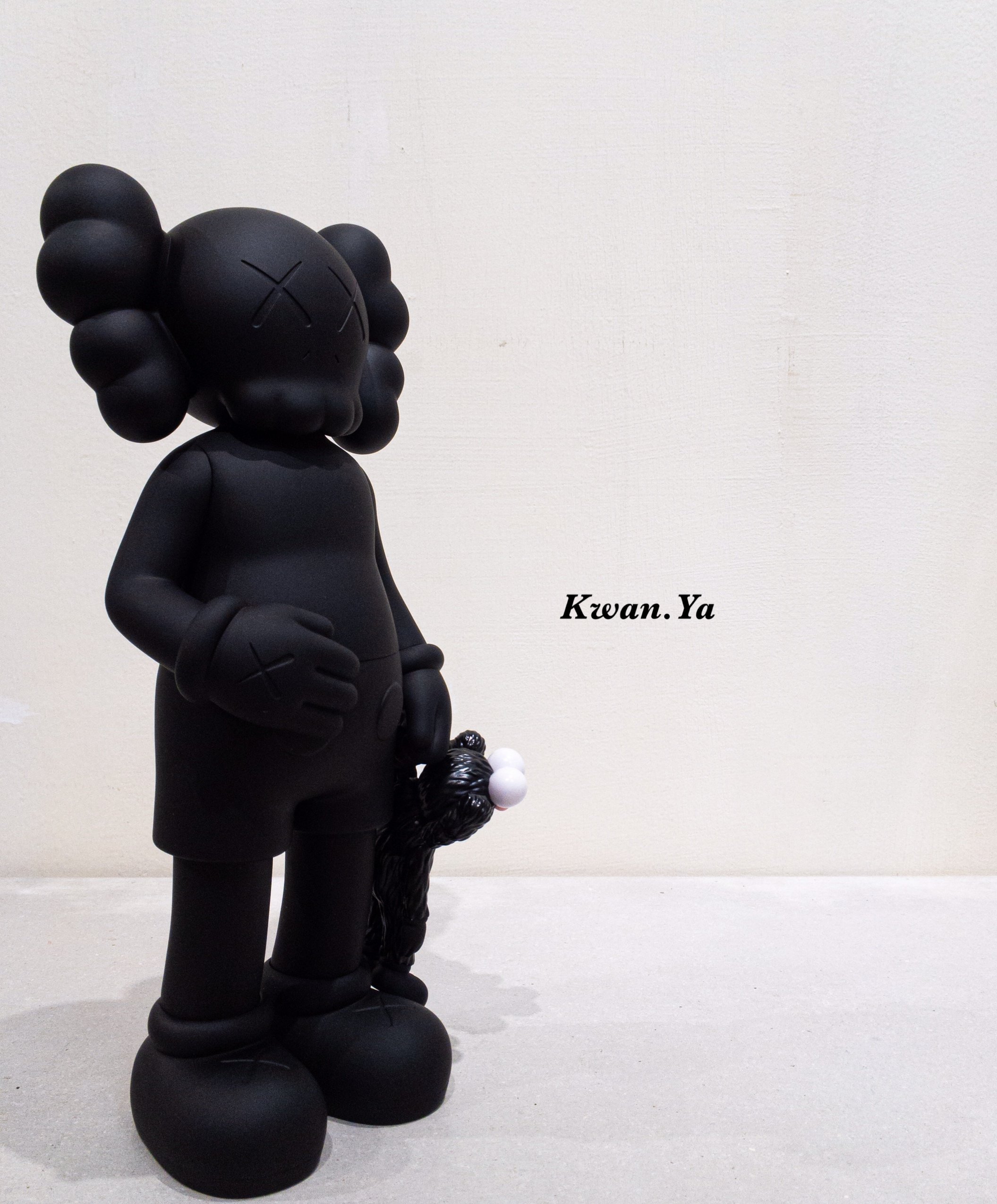 Kaws Share BFF Companion 潮流玩具公仔藝術村上隆中村萌空山基