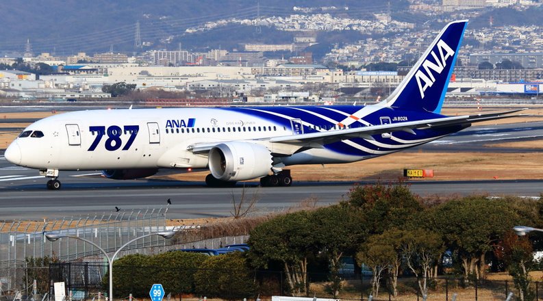 飛行夢想家**Inflight 1/200 全日空ANA Boeing 787-8 Dreamliner JA80