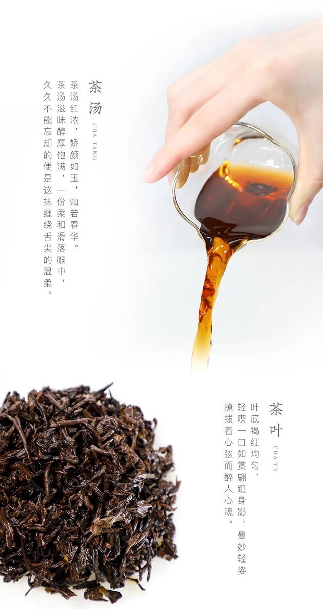 大益普洱茶 357g×6個セット 大益普洱茶2024年7452 传统熟茶357克