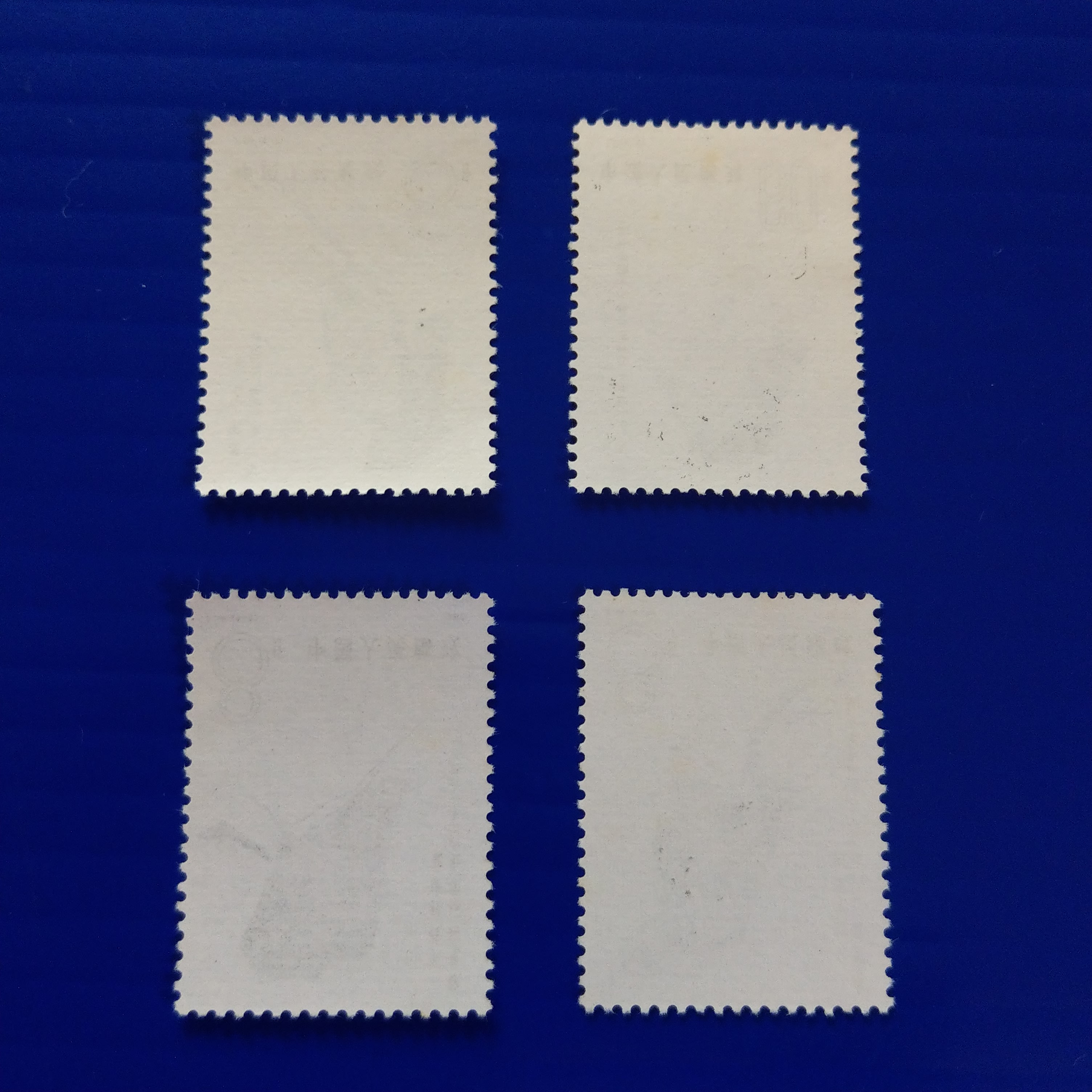 d8481238-677d-4e98-903c-