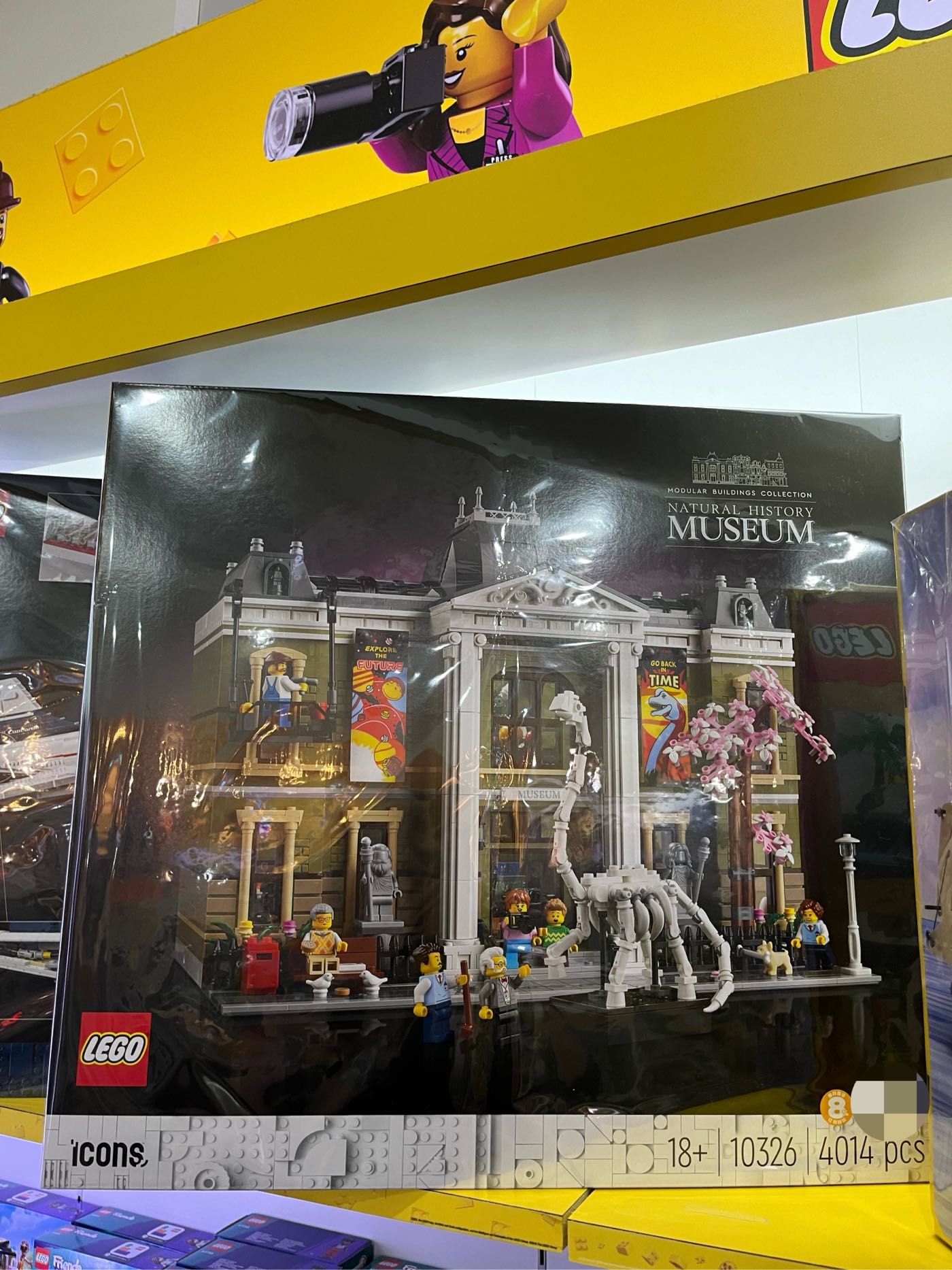 Lego - 全新未拆 Icons 10326 自然歷史博物館