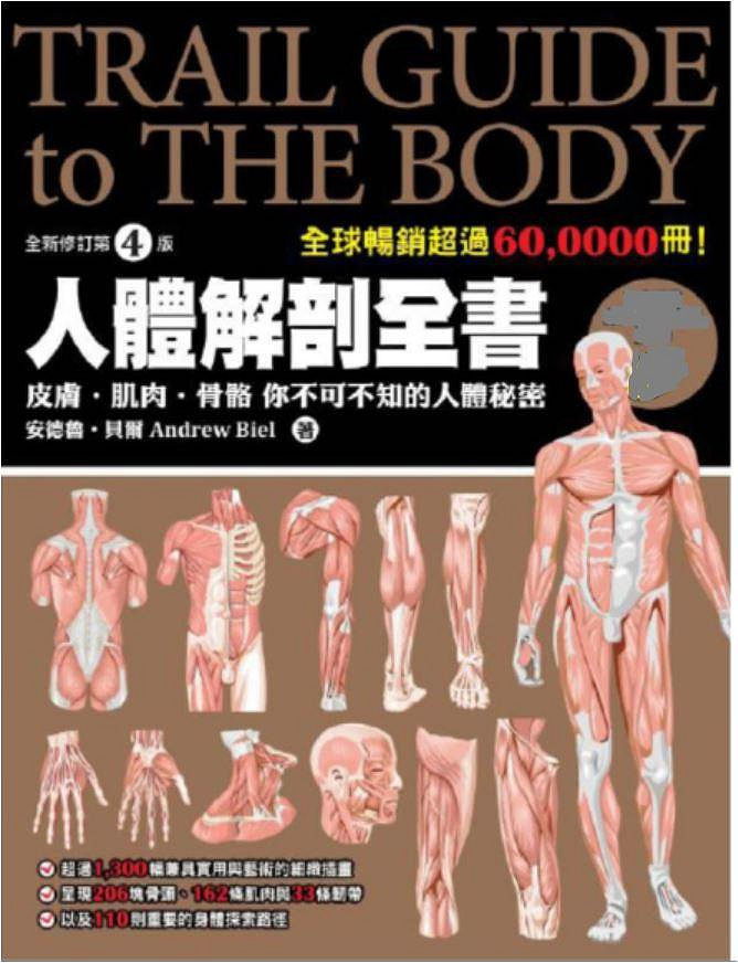 人体解剖与触诊资料原始资料图片第8