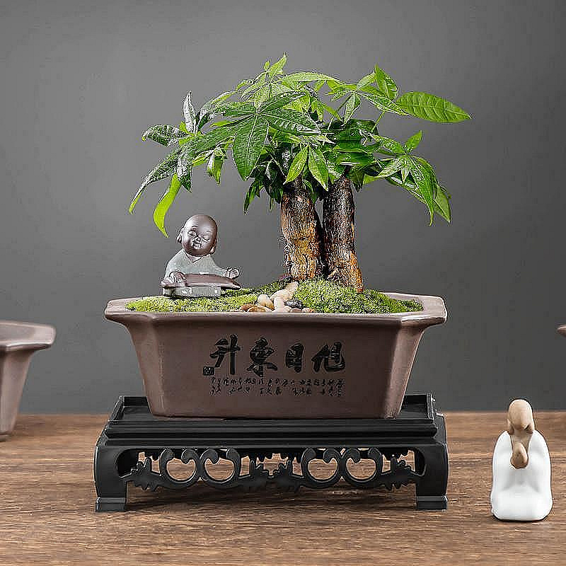 紫砂鉢 陶磁盆 景盆 長方形奎面馬槽盆大盆栽 小盆栽 工芸品 置物 精品紫砂文竹盆栽綠植盆景盆長方形室內桌面綠植禪意盆帶托盤擺件