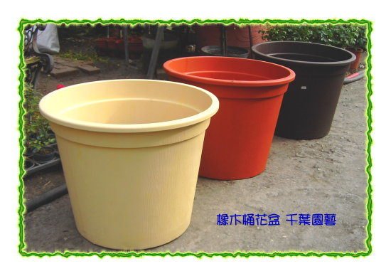 橡木桶花盆/多尺寸可選/高級塑膠盆/耐曬耐用- 千葉園藝有限公司| Yahoo拍賣
