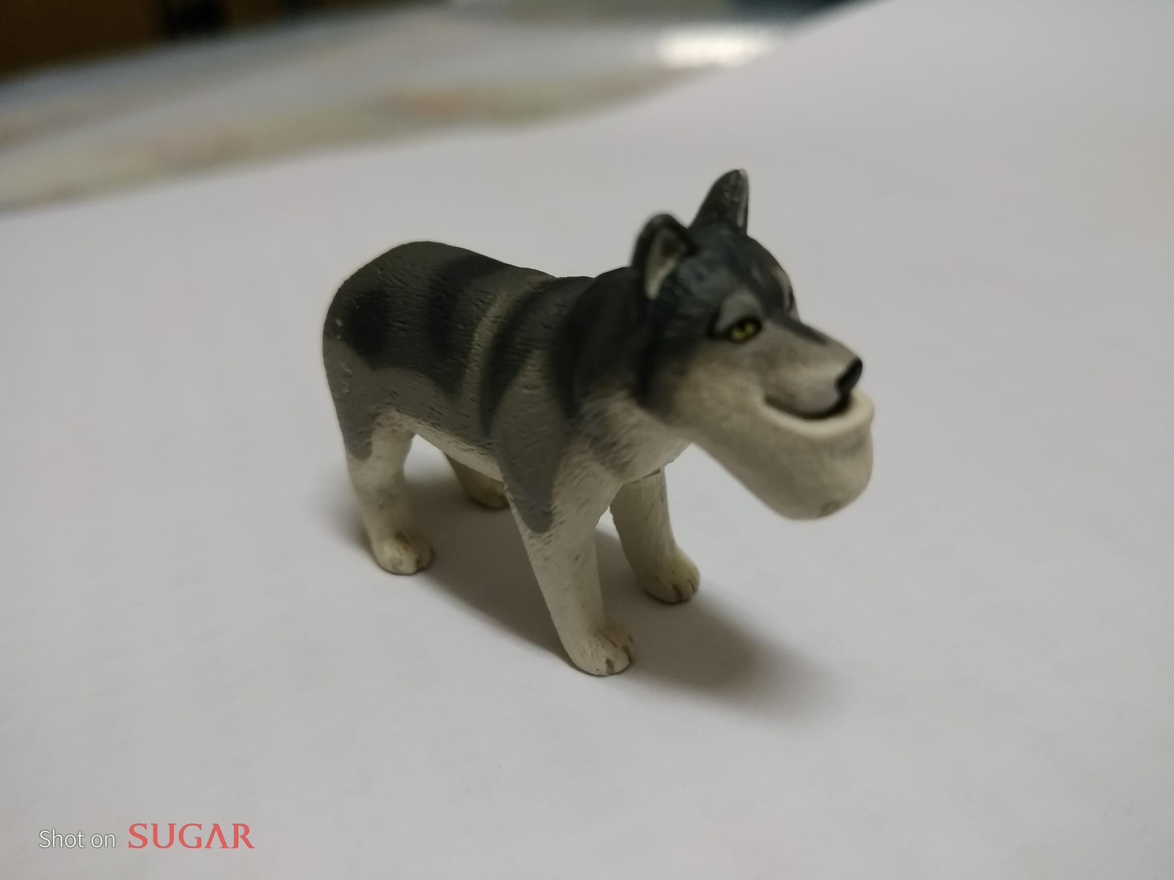 搞不懂狀況隨便賣絕版限量扭蛋星球全家厚道戽斗磁鐵公仔牛雪狼無尾熊鯨魚獅子河馬狗另售Ps4悠遊卡7-11好想兔