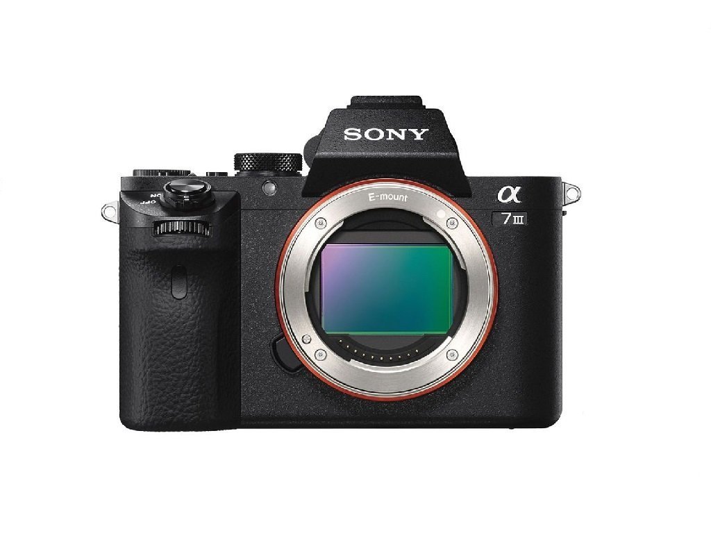 彩色鳥(二手出清) 租 SONY A73  A7III A7M3 A7