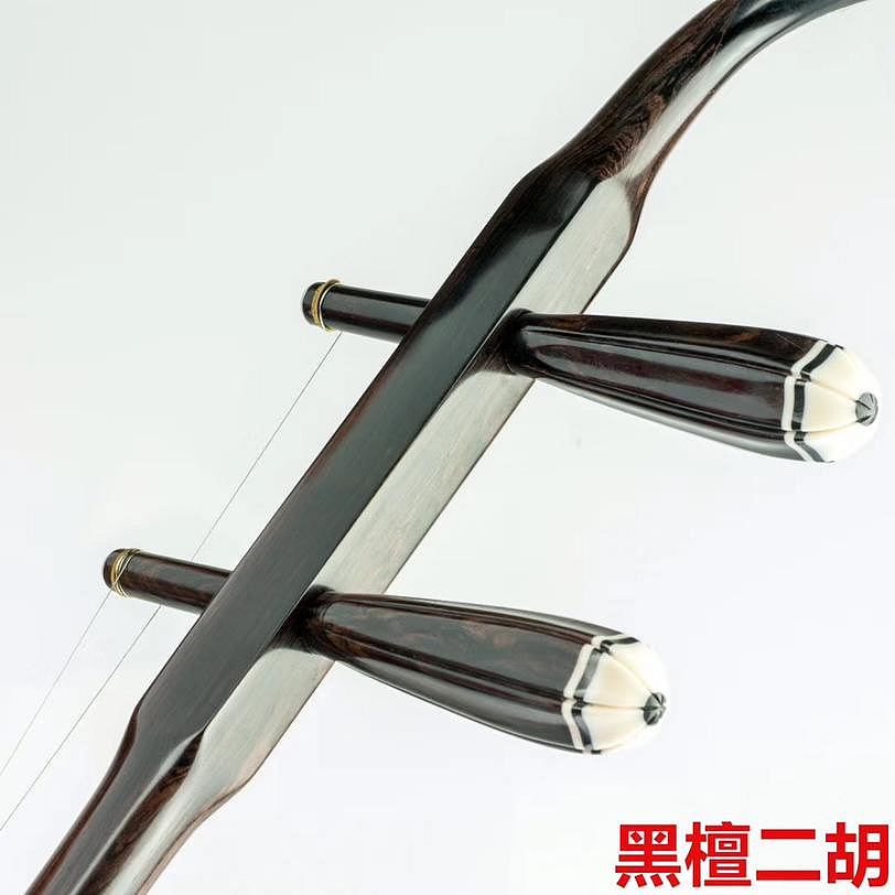 二胡　蘇州琴藝 二胡 蘇州琴藝