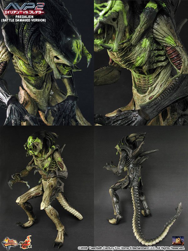 2008.HOTTOYS.MM#074“AVP2 Predalien” 2008.HOTTOYS.MM#074“AVP2 Predalien”