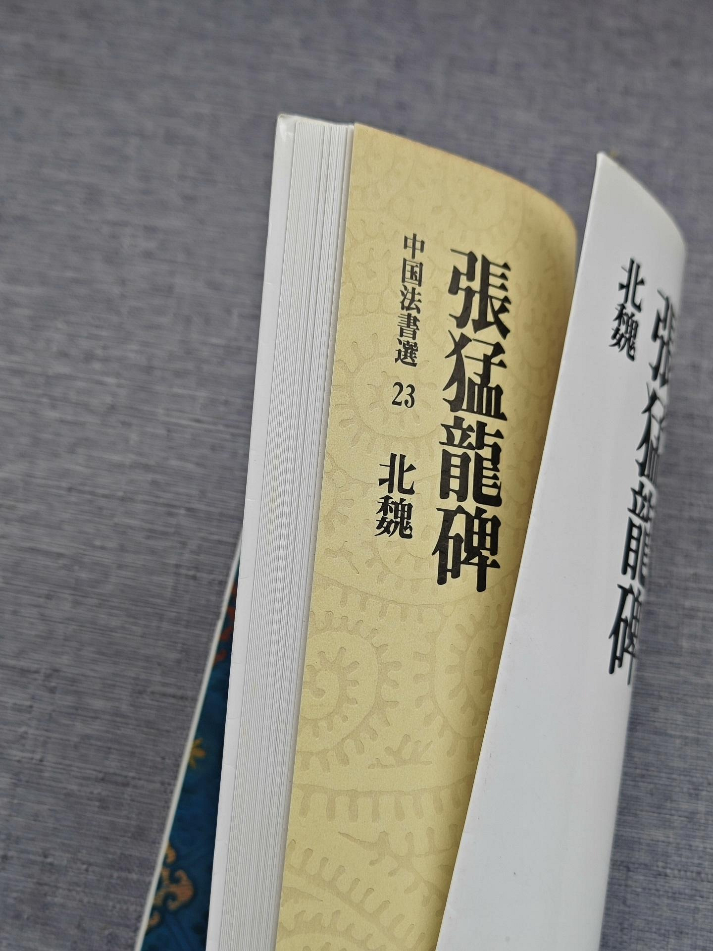 嚴選二玄社中國書法選23張猛龍碑北魏日本原版平裝珍藏品佳張猛龍碑
