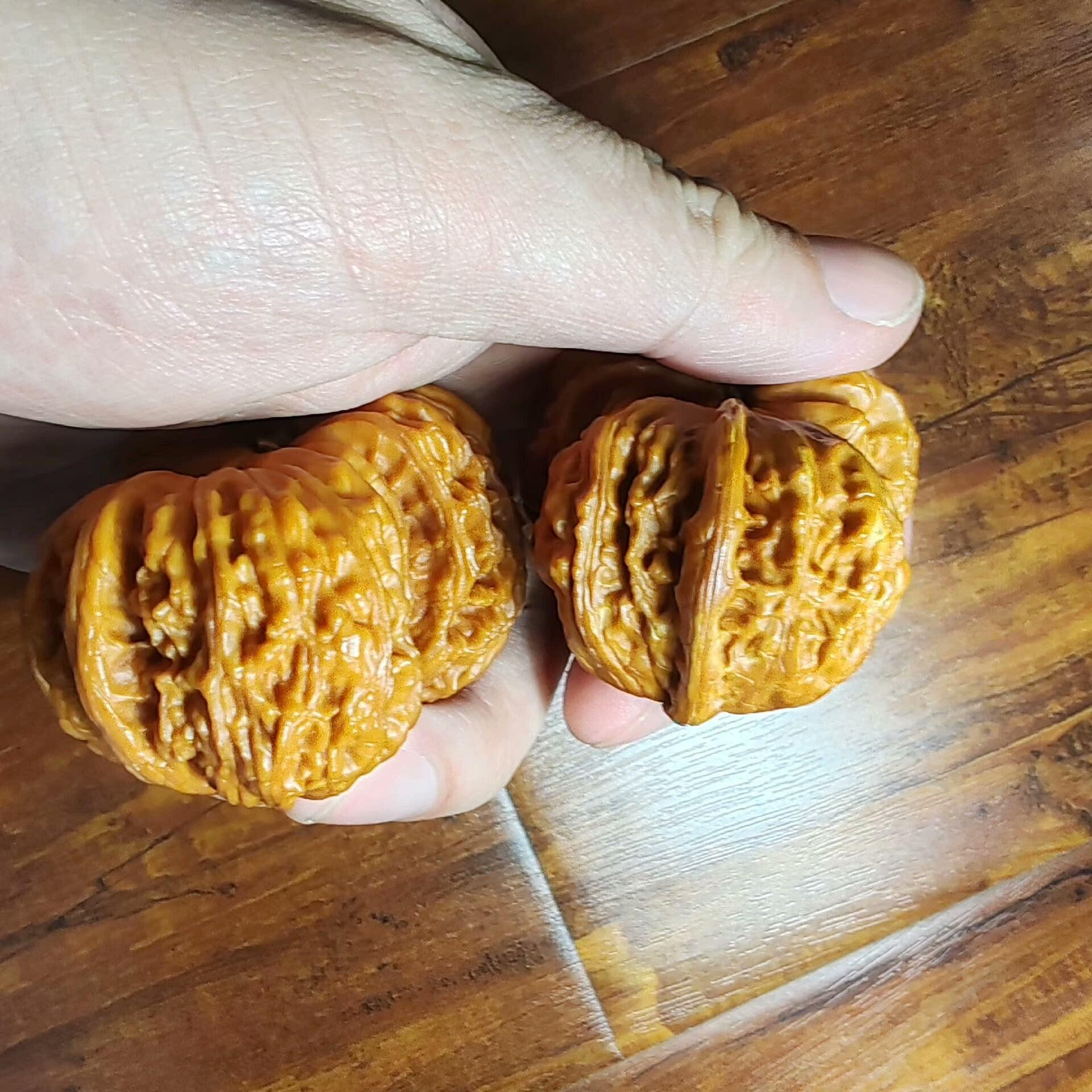 白獅子 文玩核桃 39-42-37mm 連體白獅子核桃精品配對，可遇不可求，尺寸52.7mm*44.7mm* 38mm，連體