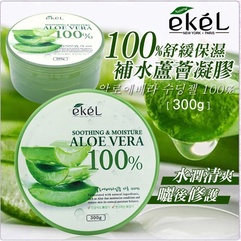 aloe vera kaufen pflanze Aloe Vera - Barbadensis miller