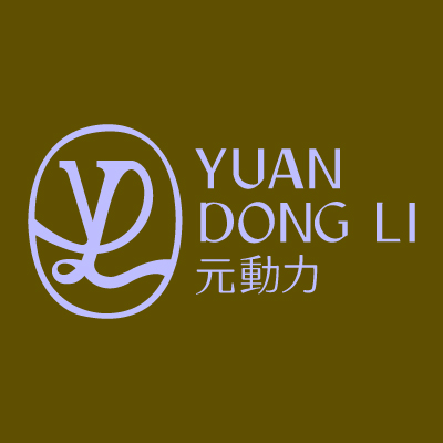 YUAN DONGLI 元動力