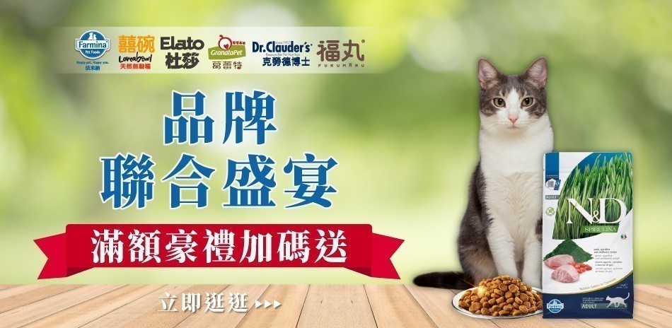 寵物