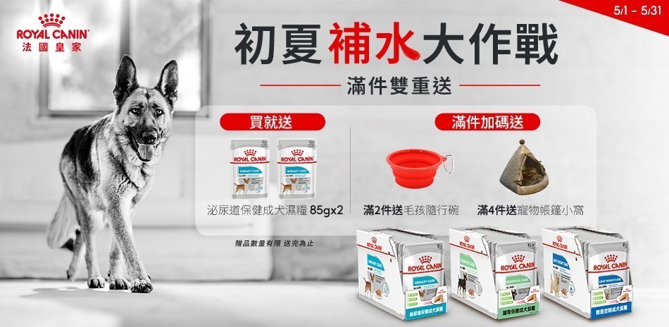 皇家