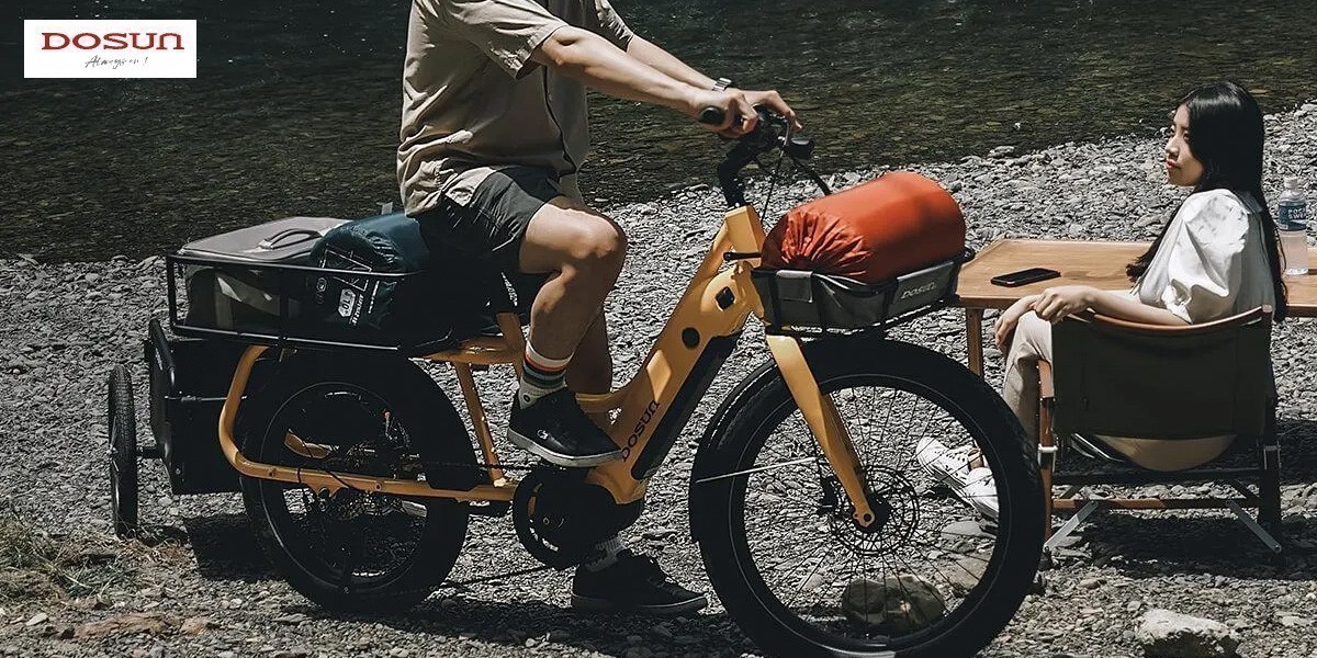 DOSUN電動輔助自行車