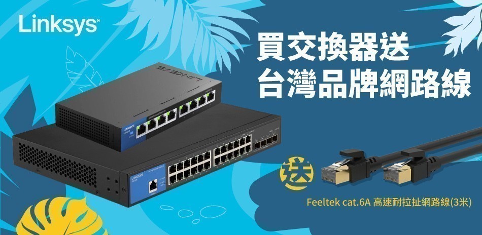 LINKSYS 指定交換器