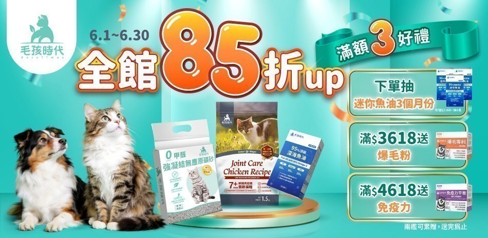 毛孩時代