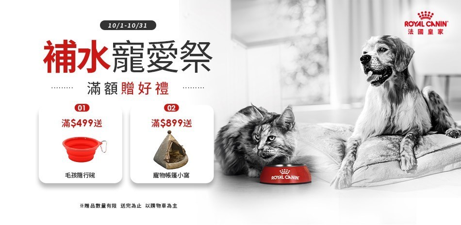 法國皇家濕糧餐包