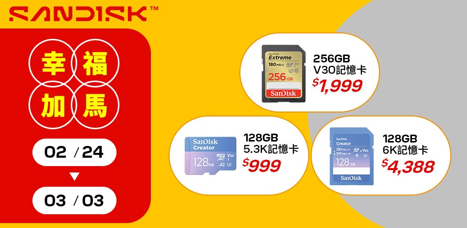 SanDisk l 記憶卡