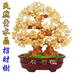天然黃水晶招財樹 中