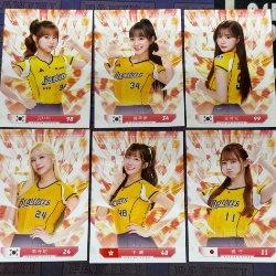 中信女孩6張卡