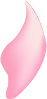 花瓣