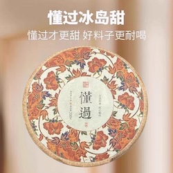 普洱茶 2019 懂過古樹春茶