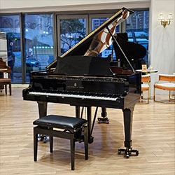 (二手)2012年史坦威O180