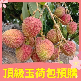 五斤粒裝禮盒700元