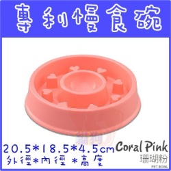 貓狗大王