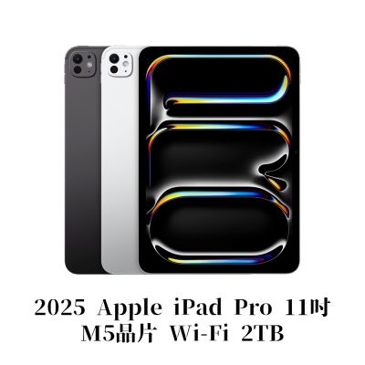 Apple 2025 iPad Pro M5晶片 11吋 WiFi 2TB 平板電腦