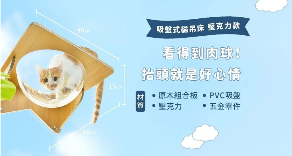 40cm吸盤式貓吊床 壓克力款看得到肉球!抬頭就是好心情材原木組合板 PVC吸盤 壓克力 五金零件