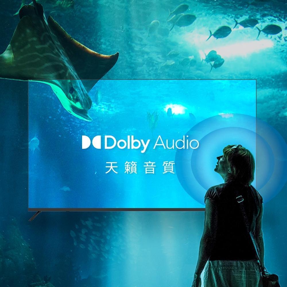 DigiKing數位新貴 DK-G43FM88 - 詳情1