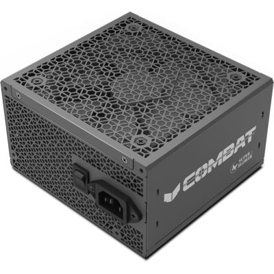 Super Flower 振華 Combat DG 750W 80+金牌+直出線 電源供應器 ATX 3.1
